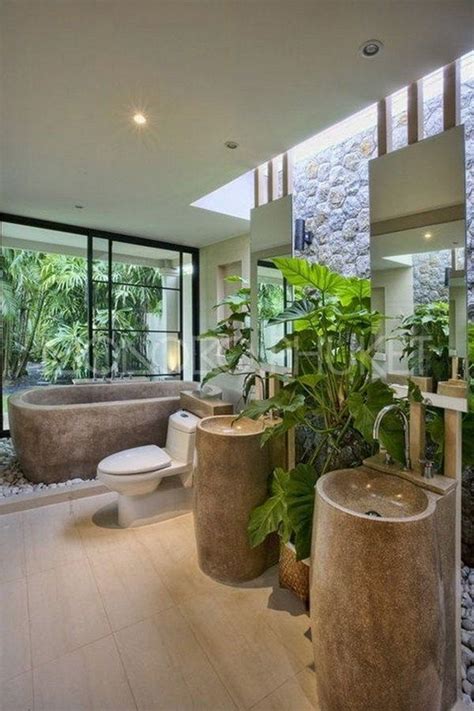 浴室放植物 又玄